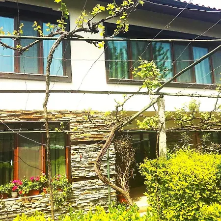 Villa Rogachevi *