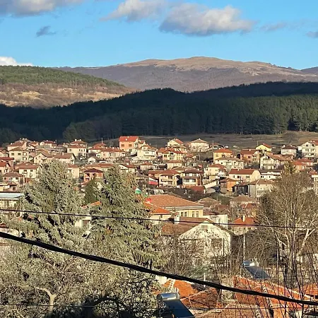 Rogachevi Villa *
